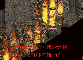 �¿�����˽����ο���������װ����ȡ����Щ���ɣ�