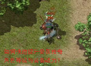 如何快速提升骨灰传奇角色等级与装备战力? 如何快速提升骨灰传奇角色等级与装备战力?