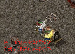 热血传奇宝宝如何快速升级?顶级攻略带你飞 热血传奇宝宝如何快速升级?顶级攻略带你飞