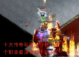 十大传奇私服排行榜中哪个职业最适合新手玩家? 十大传奇私服排行榜中哪个职业最适合新手玩家?