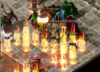 飞龙战天私服如何快速升级与获取顶级装备? 飞龙战天私服如何快速升级与获取顶级装备?