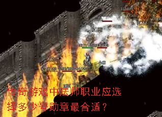 ������Ϸ�з�ʦְҵӦѡ����ٺ�ѫ������ʣ�