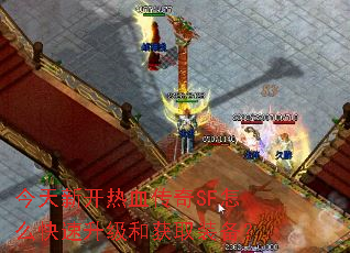 今天新开热血传奇SF怎么快速升级和获取装备? 今天新开热血传奇SF怎么快速升级和获取装备?