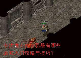 十大良心传奇私服有哪些必知入门攻略与技巧? 十大良心传奇私服有哪些必知入门攻略与技巧?