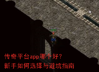����ƽ̨app�ĸ��ã��������ѡ����ܿ�ָ��