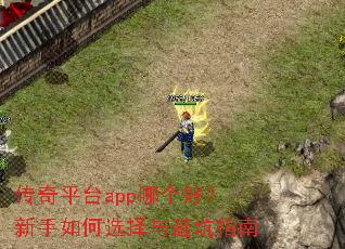 ����ƽ̨app�ĸ��ã��������ѡ����ܿ�ָ��