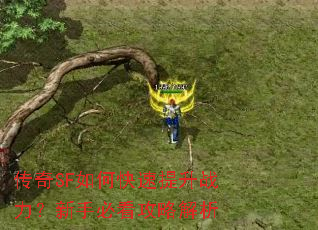 传奇SF如何快速提升战力?新手必看攻略解析 传奇SF如何快速提升战力?新手必看攻略解析