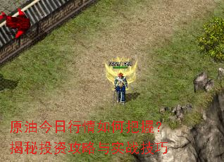 原油今日行情如何把握?揭秘投资攻略与实战技巧 原油今日行情如何把握?揭秘投资攻略与实战技巧
