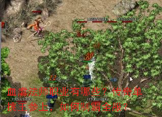 血虐法师职业有哪些?传奇单挑王参上,如何制霸全服? 血虐法师职业有哪些?传奇单挑王参上,如何制霸全服?