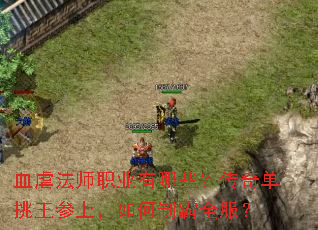 血虐法师职业有哪些?传奇单挑王参上,如何制霸全服? 血虐法师职业有哪些?传奇单挑王参上,如何制霸全服?