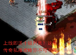 上线即送十级月灵?这份传奇私服攻略你不可不知 上线即送十级月灵?这份传奇私服攻略你不可不知