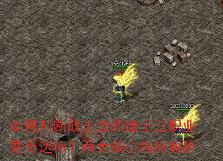 如何判断战士法师道士三职业是否达标?两大核心指标解析 如何判断战士法师道士三职业是否达标?两大核心指标解析
