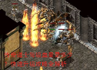 传奇道士每级血量是多少?快速升级攻略全解析 传奇道士每级血量是多少?快速升级攻略全解析