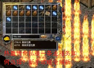 热血传奇私服一条龙服务如何选择?新手攻略全解析 热血传奇私服一条龙服务如何选择?新手攻略全解析