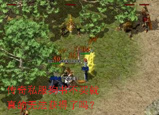 传奇私服狗书不买就真的无法获得了吗? 传奇私服狗书不买就真的无法获得了吗?