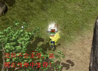 ��ʦ������λ������ڴ��������棿