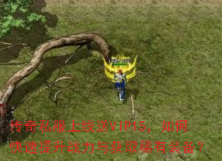 传奇私服上线送VIP15,如何快速提升战力与获取稀有装备? 传奇私服上线送VIP15,如何快速提升战力与获取稀有装备?