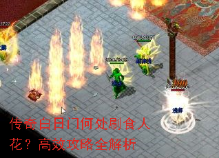 传奇白日门何处刷食人花?高效攻略全解析 传奇白日门何处刷食人花?高效攻略全解析