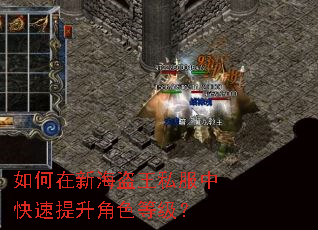 如何在新海盗王私服中快速提升角色等级? 如何在新海盗王私服中快速提升角色等级?