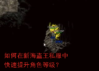 如何在新海盗王私服中快速提升角色等级? 如何在新海盗王私服中快速提升角色等级?