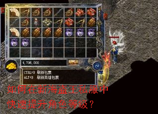 如何在新海盗王私服中快速提升角色等级? 如何在新海盗王私服中快速提升角色等级?