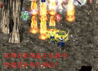 如何在新海盗王私服中快速提升角色等级? 如何在新海盗王私服中快速提升角色等级?