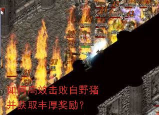 ��θ�Ч���ܰ�Ұ������ȡ�������