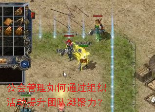公会管理如何通过组织活动提升团队凝聚力? 公会管理如何通过组织活动提升团队凝聚力?