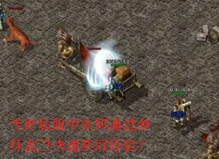 传奇私服中如何通过参拜龙卫快速获取经验? 传奇私服中如何通过参拜龙卫快速获取经验?