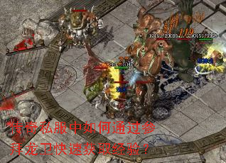 传奇私服中如何通过参拜龙卫快速获取经验? 传奇私服中如何通过参拜龙卫快速获取经验?