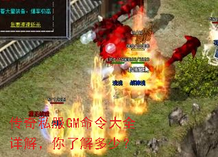 ����˽��GM�����ȫ��⣬���˽���٣�