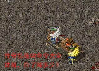 ����˽��GM�����ȫ��⣬���˽���٣�