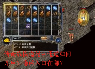 传奇纵横道秘密通道如何开启?隐藏入口在哪? 传奇纵横道秘密通道如何开启?隐藏入口在哪?