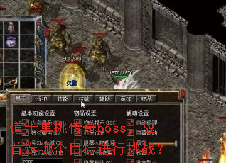 ��ʿ��������boss��Ӧ��ѡ�ĸ�Ŀ�������ս��