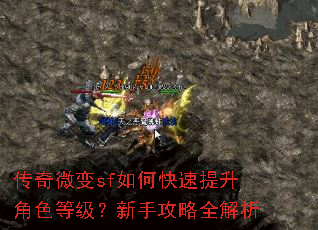 传奇微变sf如何快速提升角色等级?新手攻略全解析 传奇微变sf如何快速提升角色等级?新手攻略全解析