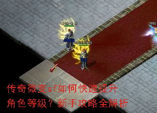传奇微变sf如何快速提升角色等级?新手攻略全解析 传奇微变sf如何快速提升角色等级?新手攻略全解析