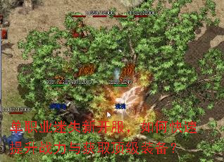单职业迷失新开服,如何快速提升战力与获取顶级装备? 单职业迷失新开服,如何快速提升战力与获取顶级装备?