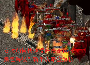 女孩如何快速提升传奇私服角色等级?新手攻略全解析 女孩如何快速提升传奇私服角色等级?新手攻略全解析