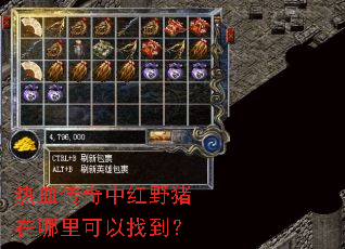热血传奇中红野猪在哪里可以找到? 热血传奇中红野猪在哪里可以找到?