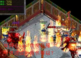 如何在cqsf传奇私服中快速提升角色等级? 如何在cqsf传奇私服中快速提升角色等级?
