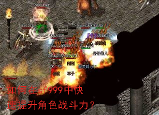 �����sf999�п���������ɫս������