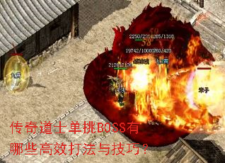 �����ʿ����BOSS����Щ��Ч���뼼�ɣ�