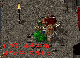 �����ʿ����BOSS����Щ��Ч���뼼�ɣ�