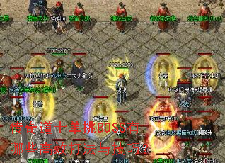 �����ʿ����BOSS����Щ��Ч���뼼�ɣ�